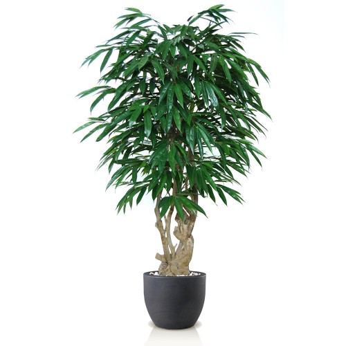 Planta semi-artificiala Ila, Longifolia Malabar Green - 180 cm